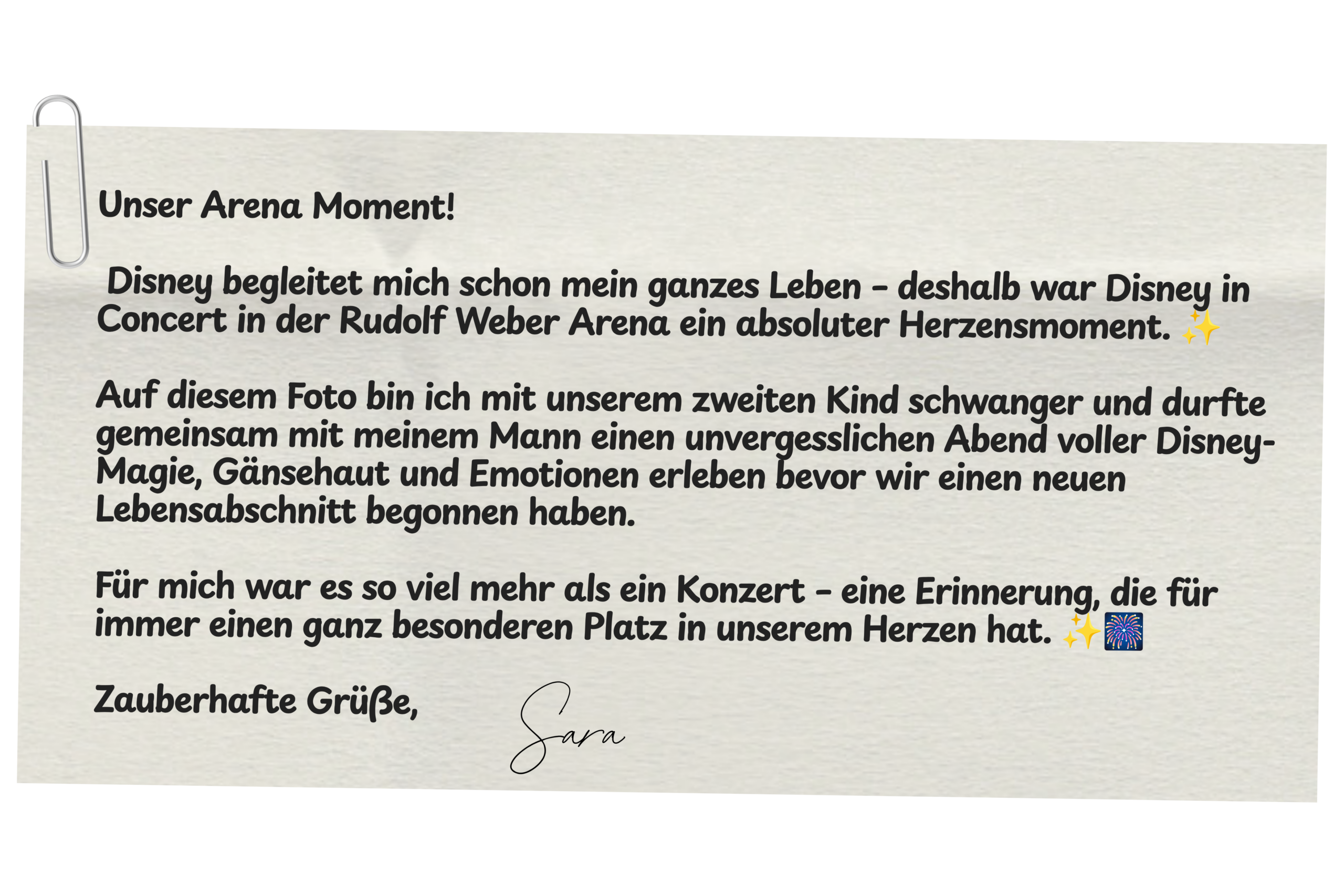 Fan-Momente Website (4)
